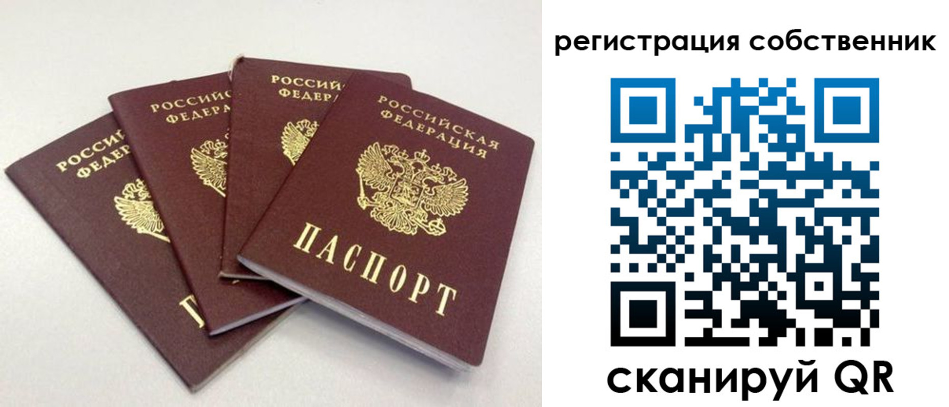 прописка для школы в Звенигороде